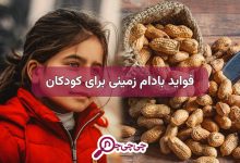 فواید بادام زمینی برای کودکان + روش اصولی مصرف بادام زمینی