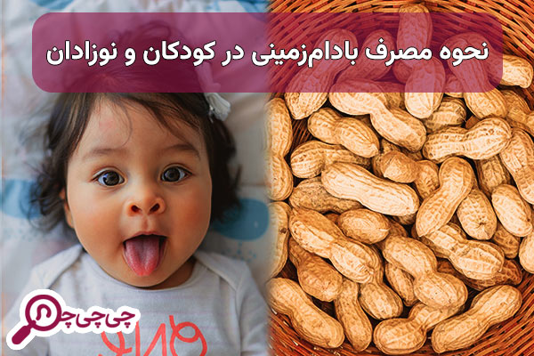 فواید بادام زمینی برای کودکان و نحوه مصرف بادام زمینی در کودکان و نوزادان